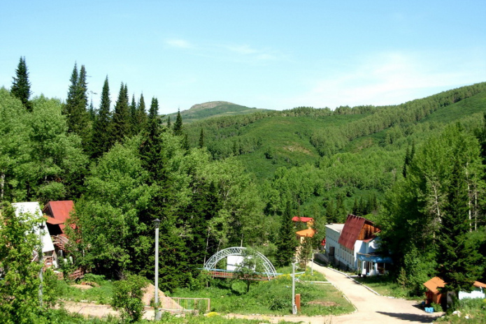 Пантолечение: время быть здоровым! - PR